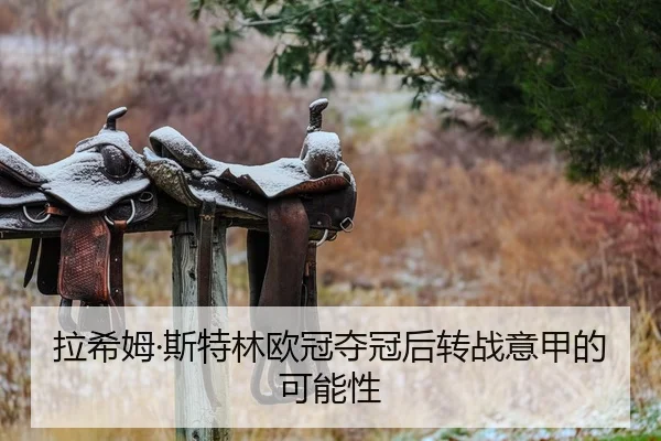 拉希姆·斯特林欧冠夺冠后转战意甲的可能性